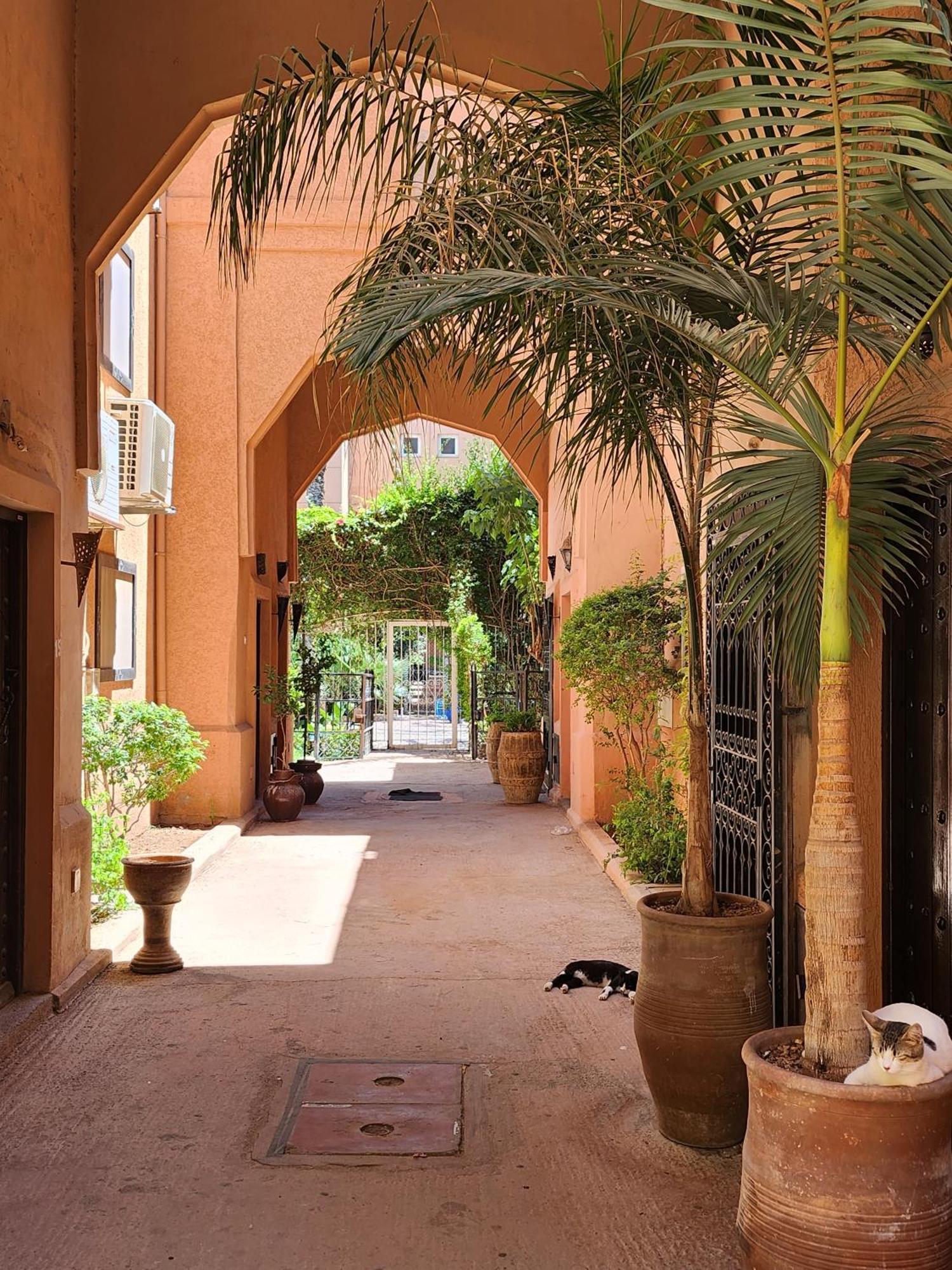 Riad With 3 Swimming Pools Марракеш Екстер'єр фото
